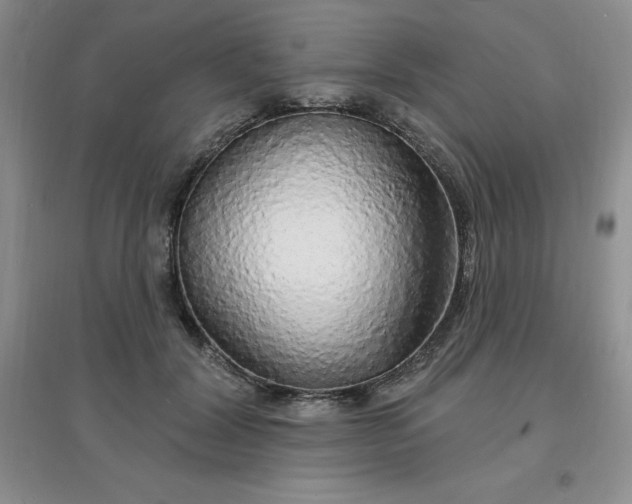 X0000097670604200803142156