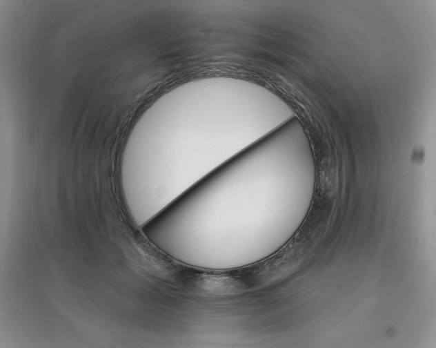 X0000097670605200803142156