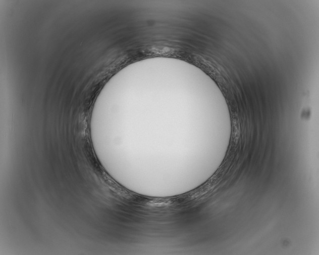 X0000097670606200803142156