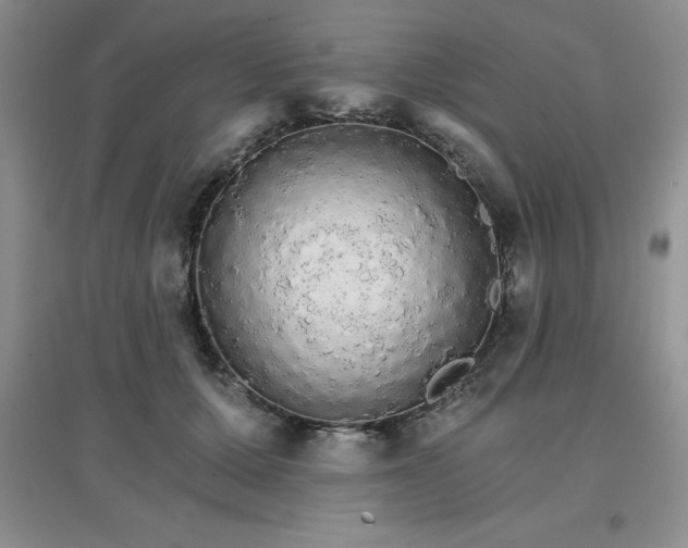 X0000097670607200803142156