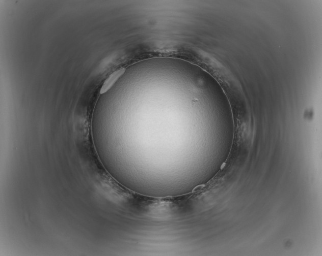 X0000097670609200803142156