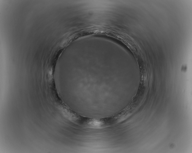 X0000097670610200803142156