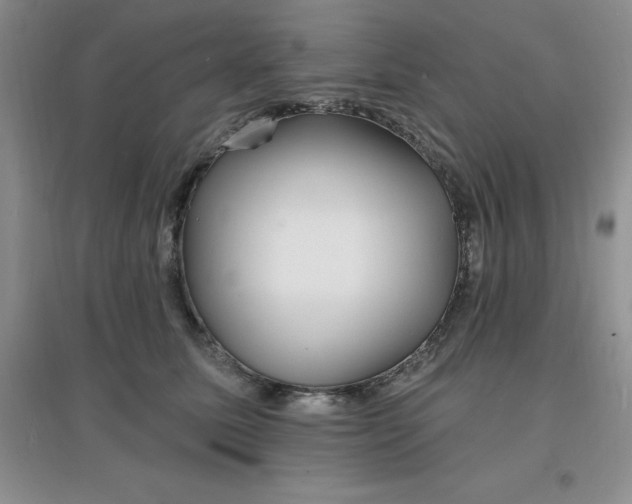 X0000097670611200803142156