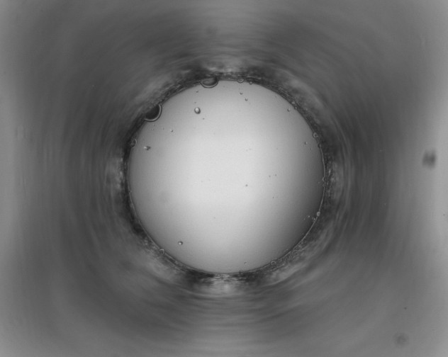 X0000097670612200803142156