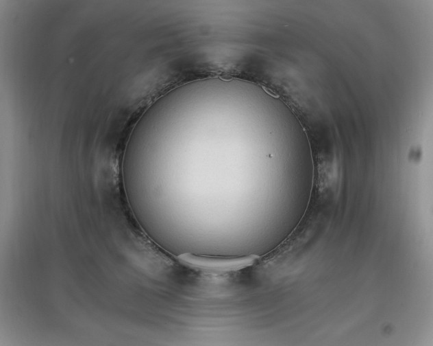 X0000097670613200803142156