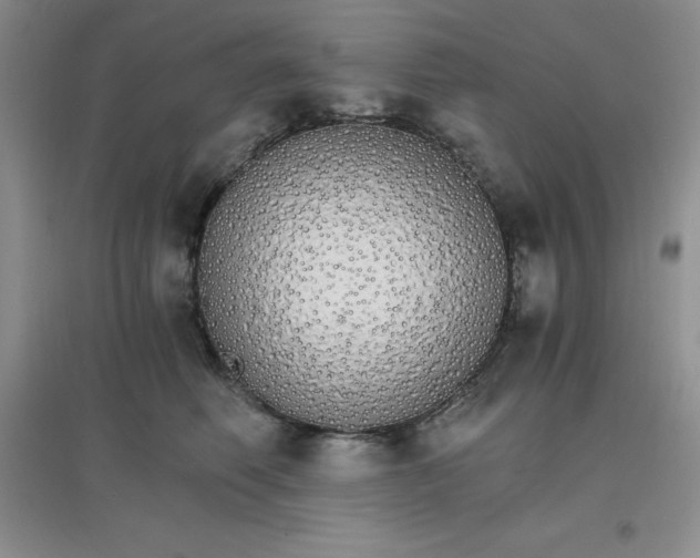 X0000097670614200803142156