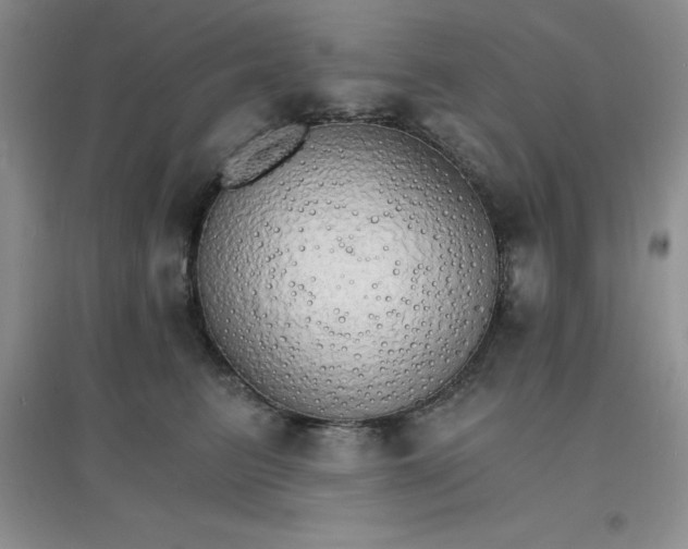X0000097670615200803142156