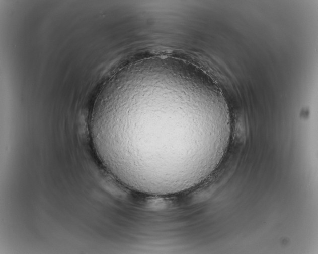 X0000097670616200803142156
