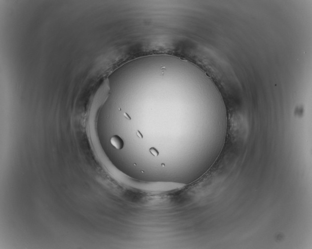X0000097670617200803142156