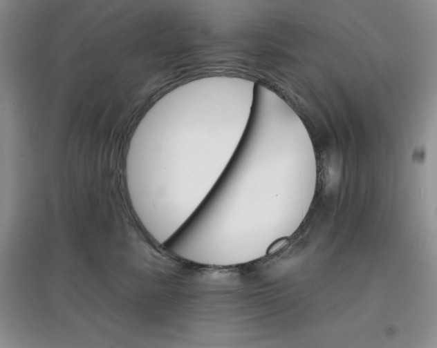 X0000097670619200803142156