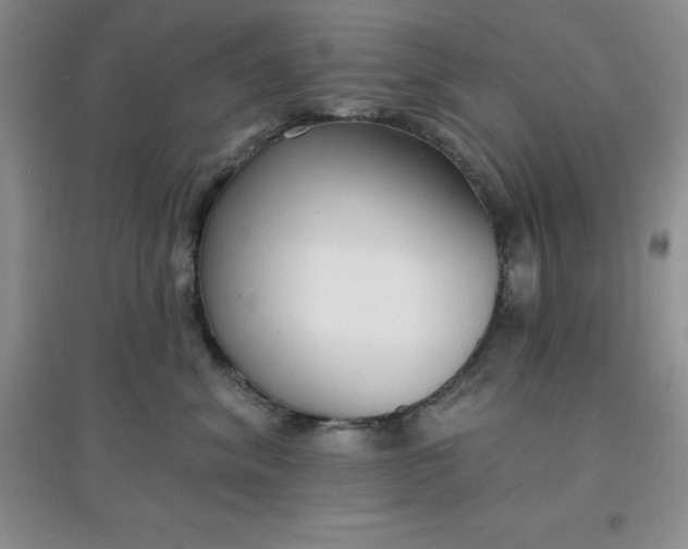 X0000097670620200803142156