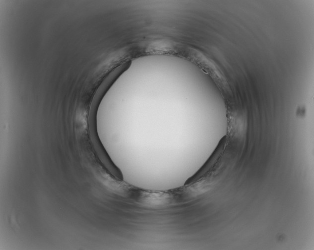X0000097670621200803142156