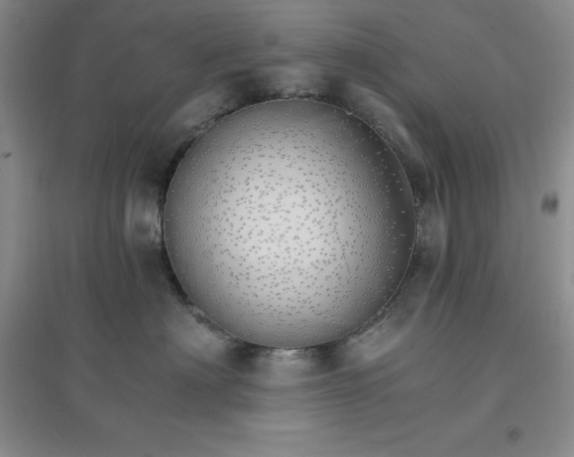 X0000097670622200803142156