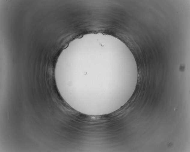 X0000097670623200803142156