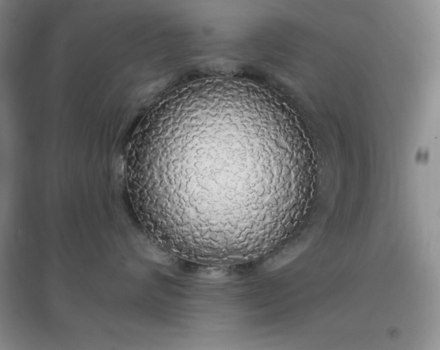 X0000097670624200803142156