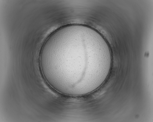 X0000097670625200803142155