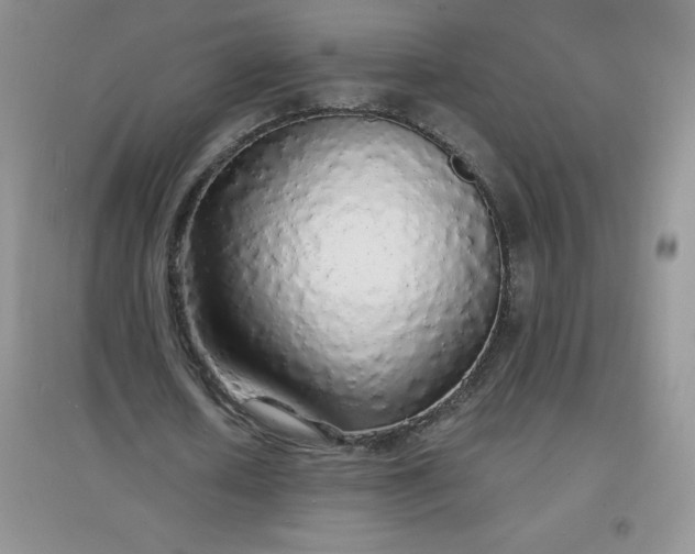 X0000097670626200803142155