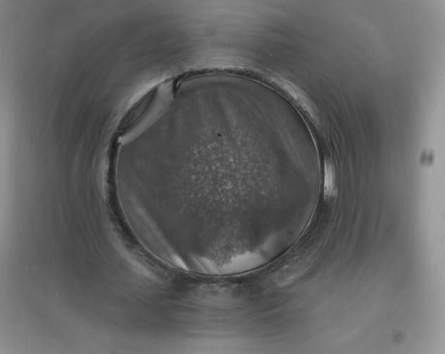 X0000097670627200803142155