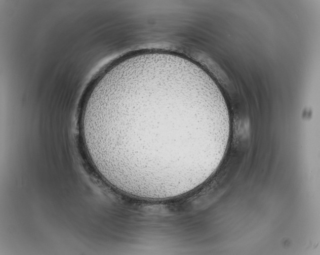 X0000097670628200803142155