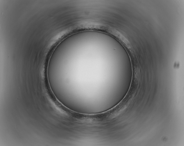 X0000097670629200803142155