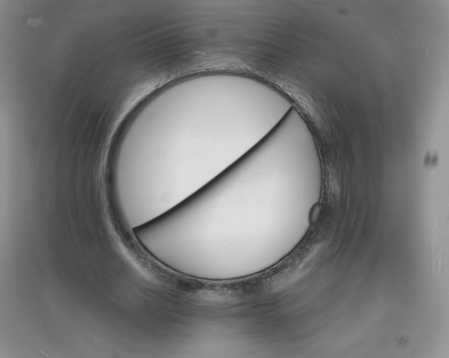 X0000097670630200803142155