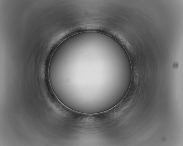 X0000097670631200803142155