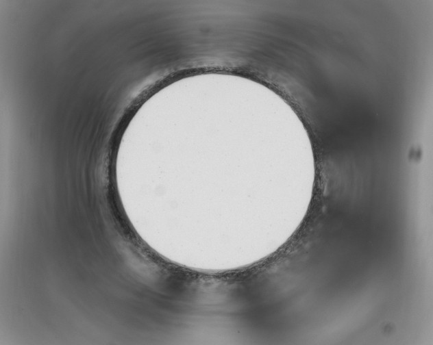 X0000097670632200803142155