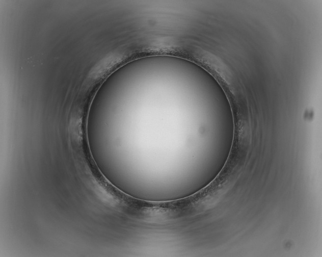 X0000097670633200803142155