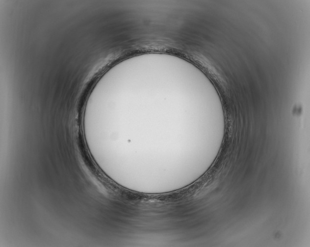 X0000097670634200803142155