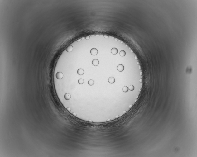 X0000097670635200803142155