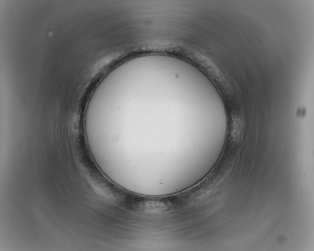 X0000097670636200803142155