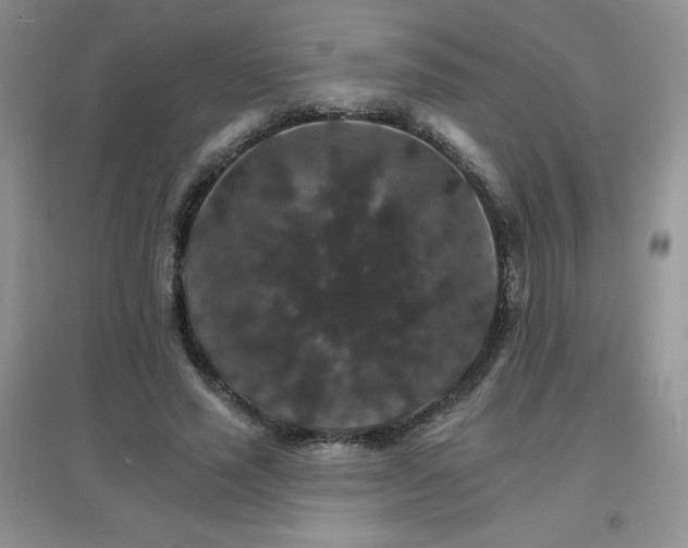 X0000097670637200803142155