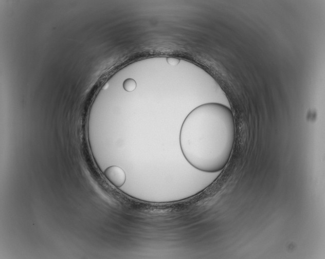 X0000097670638200803142155