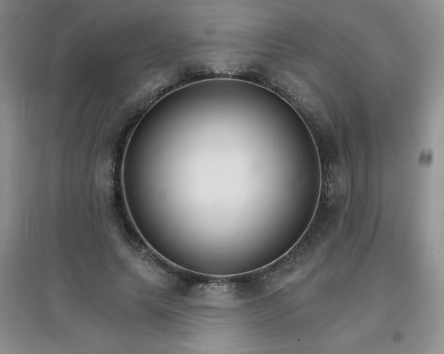 X0000097670639200803142155
