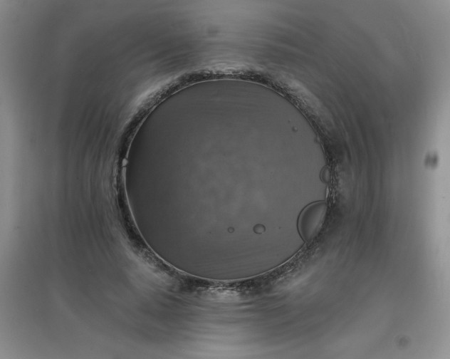 X0000097670640200803142155