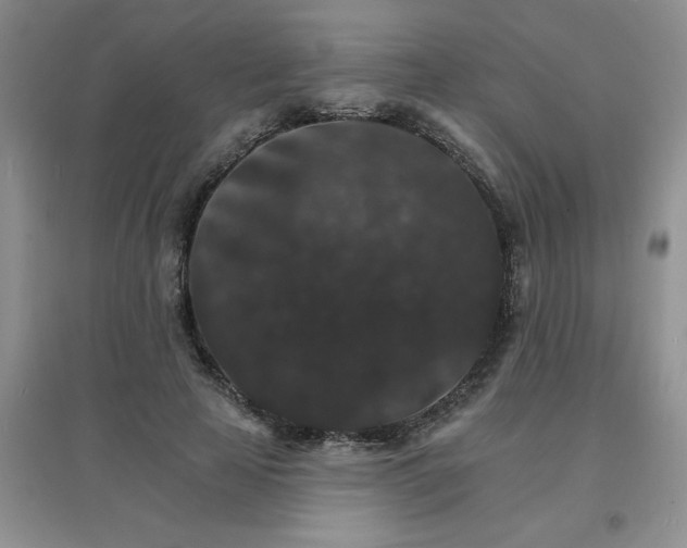X0000097670641200803142155