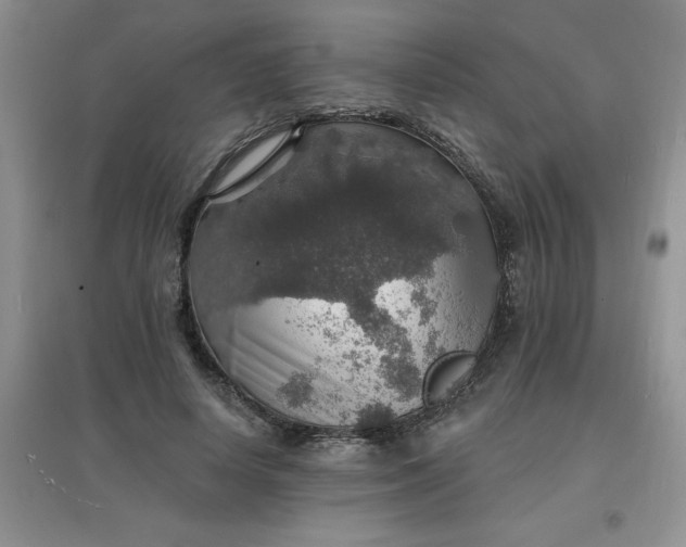 X0000097670642200803142155