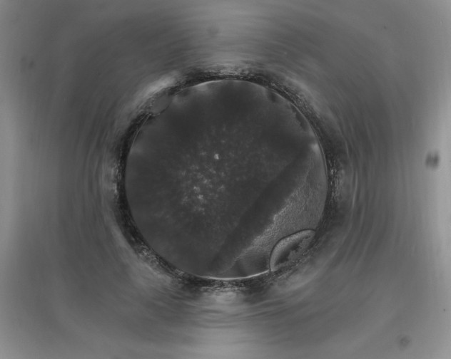 X0000097670643200803142155