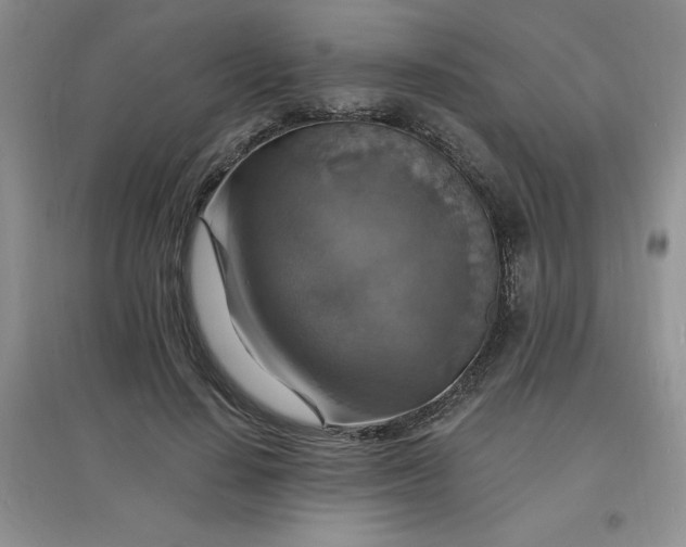 X0000097670644200803142155