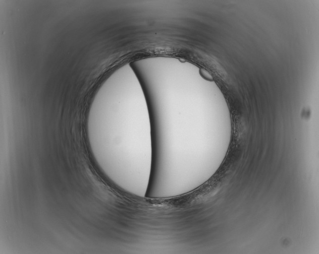 X0000097670645200803142155