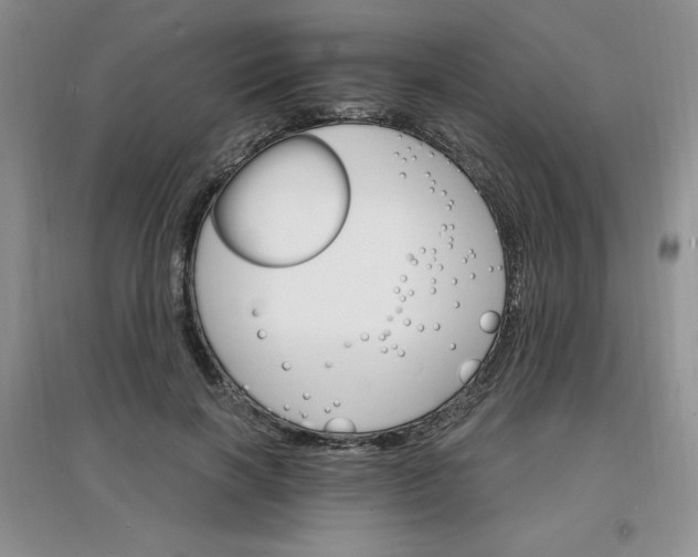 X0000097670646200803142155