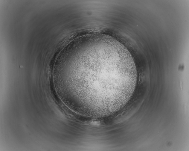 X0000097670647200803142155