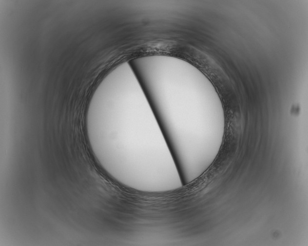 X0000097670649200803142155