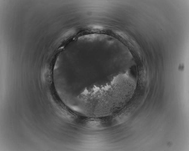 X0000097670653200803142155