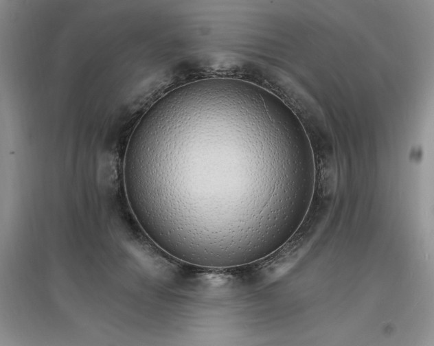X0000097670654200803142155