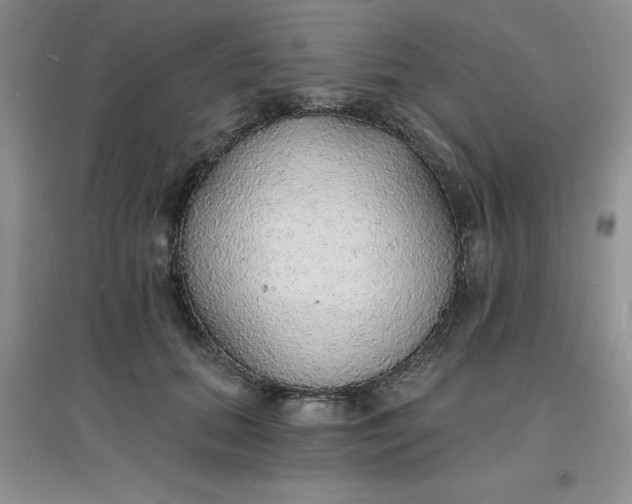 X0000097670655200803142155