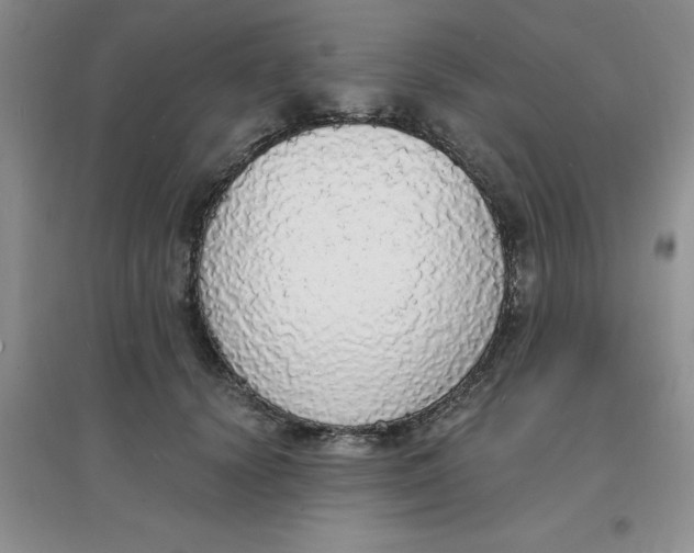 X0000097670656200803142155