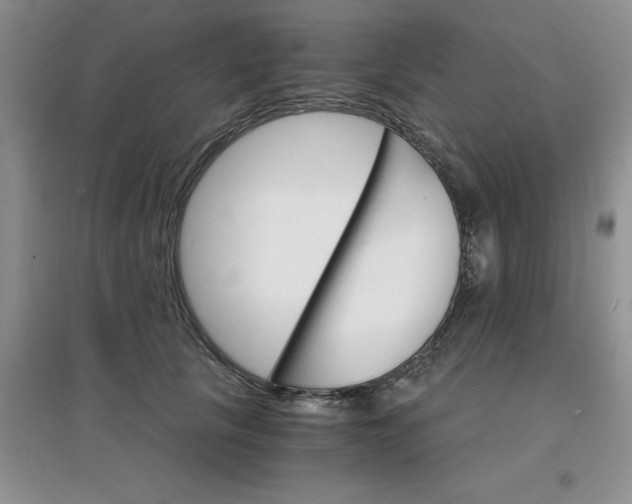 X0000097670657200803142155