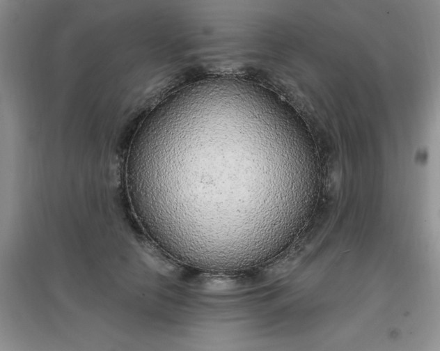 X0000097670658200803142155