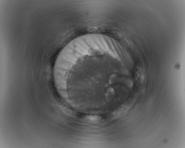 X0000097670659200803142155